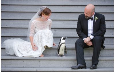 Karen + Dylan | Maryland Zoo Wedding Photos | Baltimore Wedding Photographer
