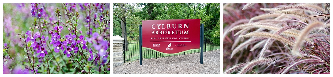 Cylburn Arboretum fall landscape
