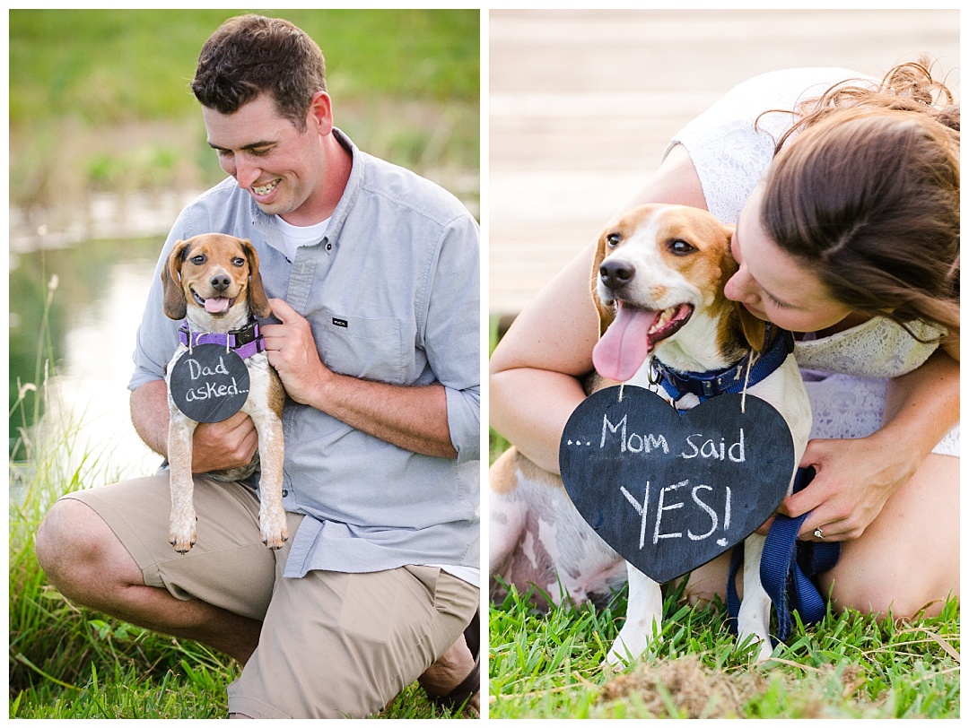 Maryland Farm Engagement Photos