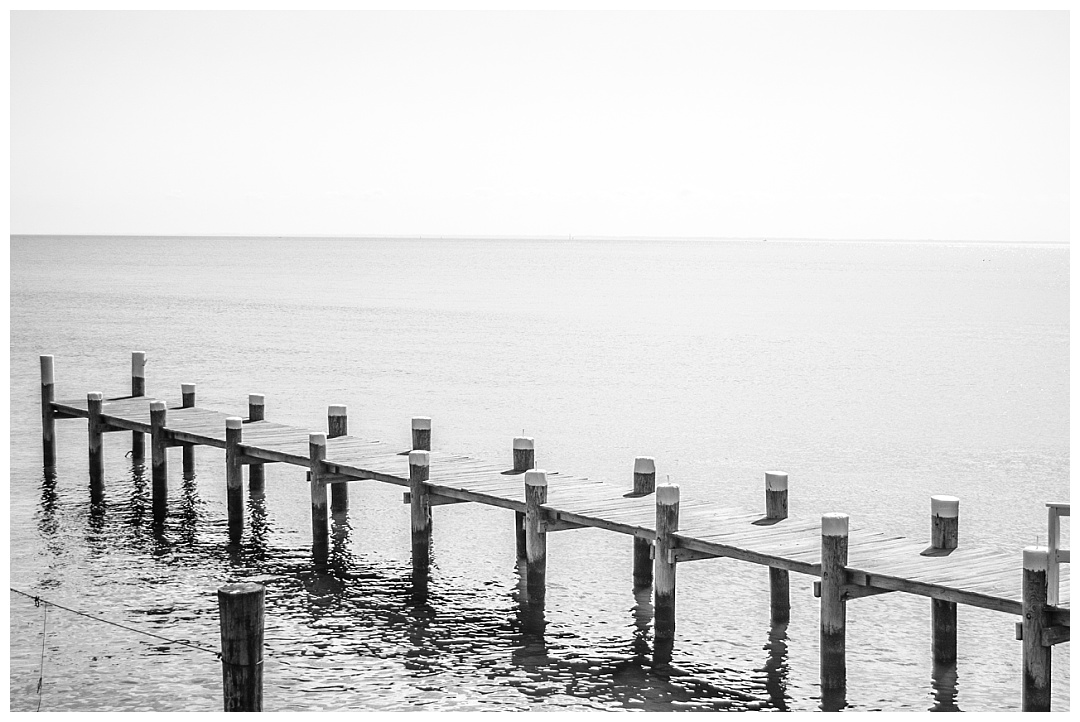 Celebrations at the Bay Wedding Photos | Aaron Haslinger Photography