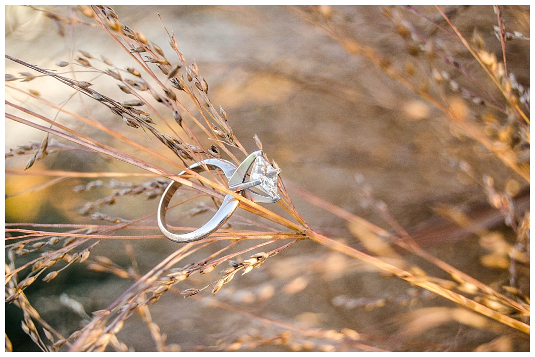 Engagement Photos at Cylburn Arboretum | Aaron Haslinger Photography
