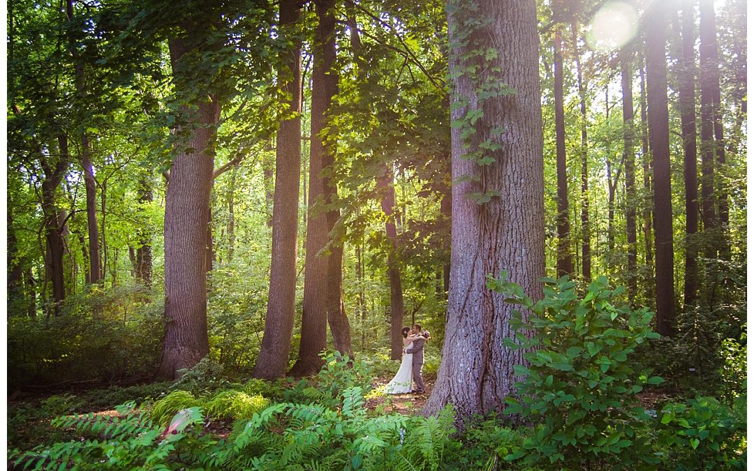 Sarah + Andrew | Liriodendron Mansion Wedding Photos | Maryland Wedding Photographer