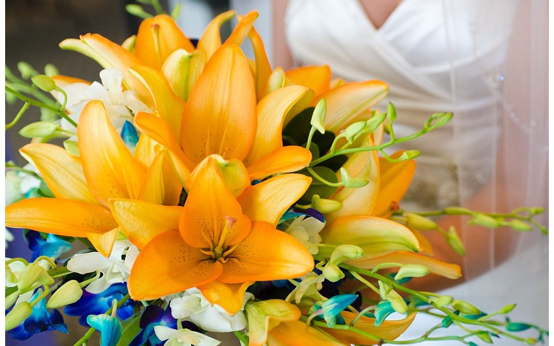 Danielle + Steve | Top of the Bay Wedding Photos | Maryland Wedding Photographer