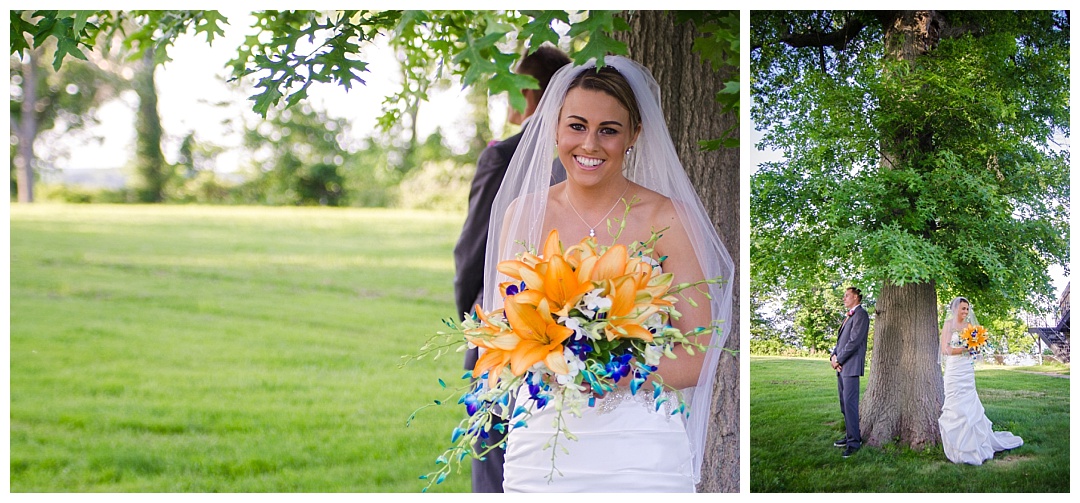 Top of the Bay Wedding Photos | Aaron Haslinger Photography