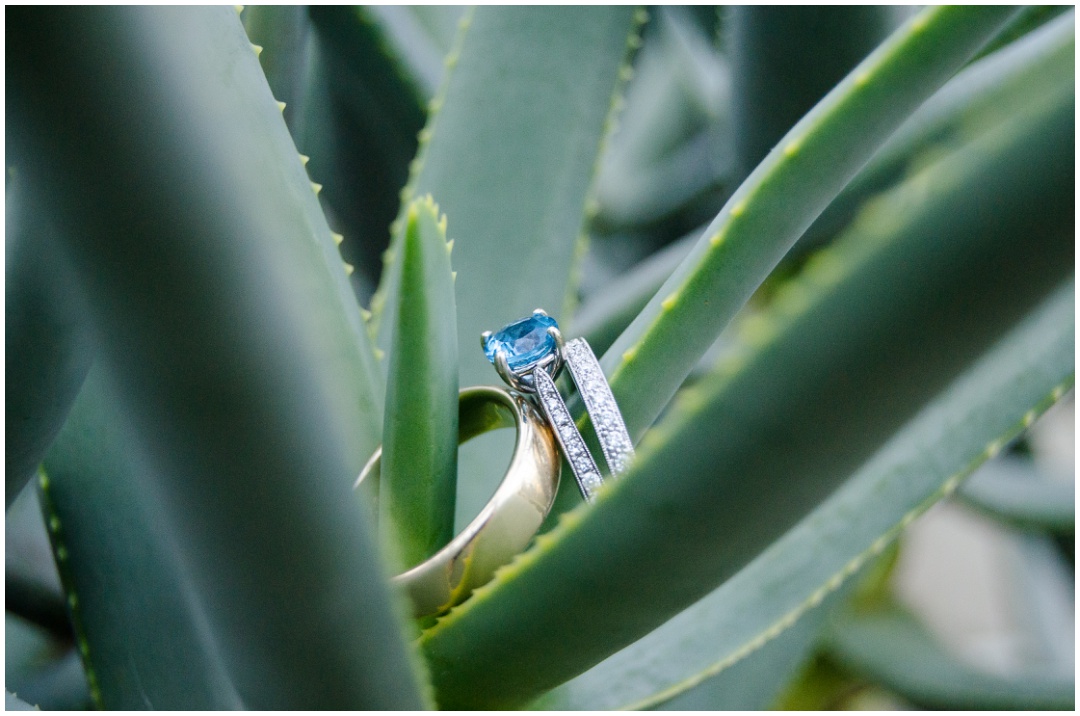 Rawlings Conservatory Wedding Photos | Aaron Haslinger Photography Rawlings-Conservatory-wedding-photos
